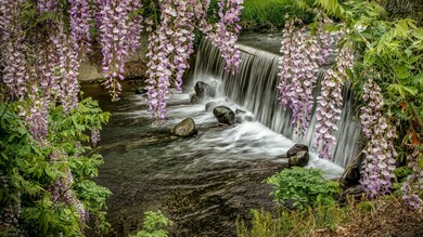 Waterfall Rocks Plants Ultra HD