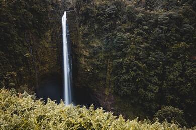 Waterfall with Beautiful Scenery