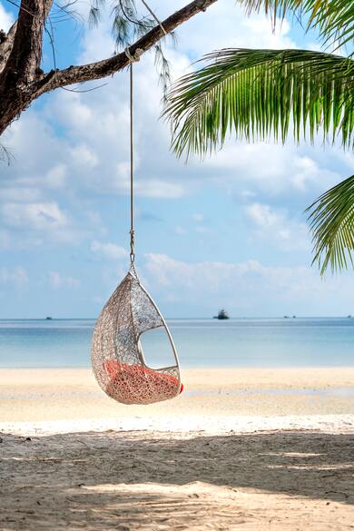 White Hanging Chair on Beach Tree