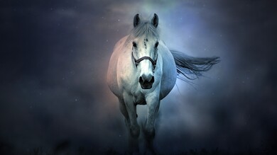 White Horse 8K