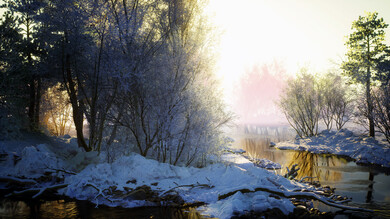 Winter Forest and River Image