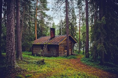 Wooden House in Forest Pic