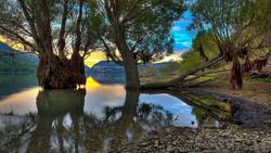 4K Lake and Tree Nature Image