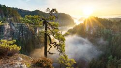 4K Nature Pic