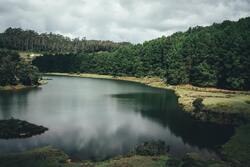 a Lake And Green Scenery