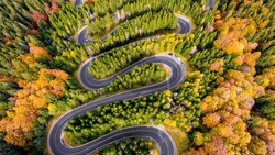 Aerial Curved Road 4K Wallpaper