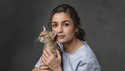 Alia Bhatt With Cat Photography