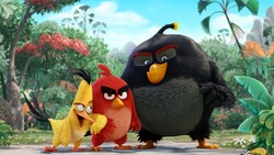 Angry Birds Cartoon Movie Photo