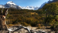 Argentine National Park