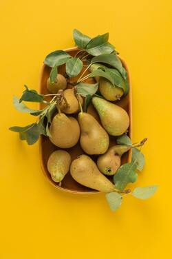 Avocado Fruit Photo