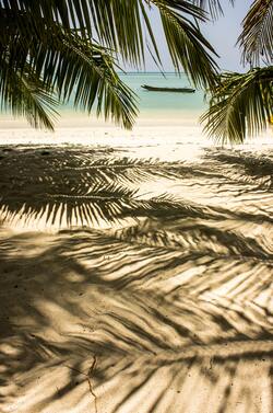 Beautiful Beach Mobile Photo