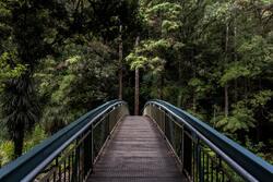 Beautiful Bridge in Garden