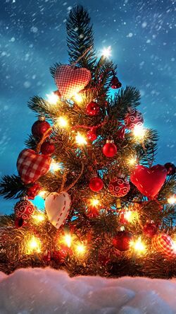 Beautiful Christmas Tree Decoration on Holiday