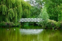 Beautiful Lake with Bridge in Green Garden