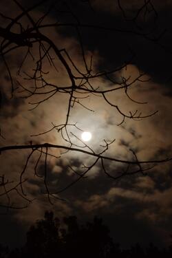 Beautiful Night View of Moon