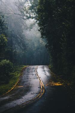 Beautiful Rainy Road in Jungle