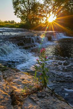 Beautiful Stream at Sunrise