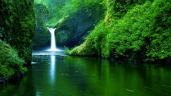 Beautiful Waterfall in The Middle of Green Plant