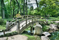 Beautiful Wooden Bridge on Riven in Garden