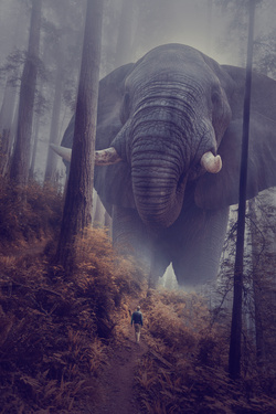 Big African Elephant in Forest