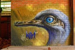 Bird Wall Painting