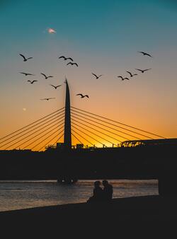 Birds Flying at City Above Bridge