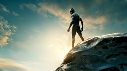 Black Panther Superhero Movie Photo