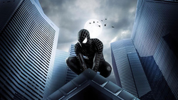 Black Spiderman on Roof 4k