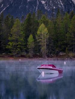 Boat on Calm Water Near Trees