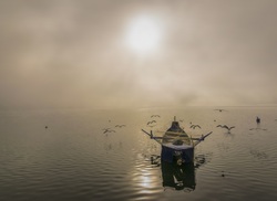 Boat With Birds During Sunrise Around