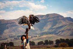 Boy Holding Eagle Bird