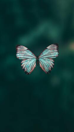 Butterfly Mobile Background Pic