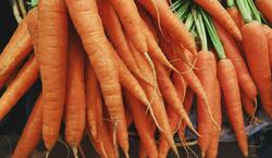 Carrot Vegetable in Market