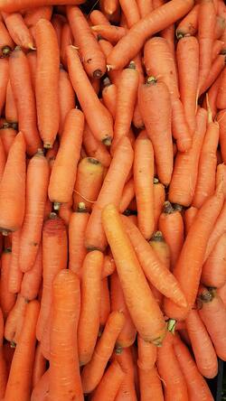 Carrots Vegetable Photo