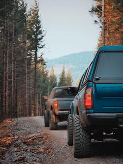 Cars Driving Along High Trees in Forest