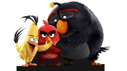 Cartoon Movie Angry Birds Photo