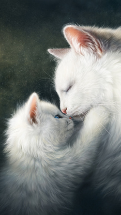 Cat Love Mobile Wallpaper