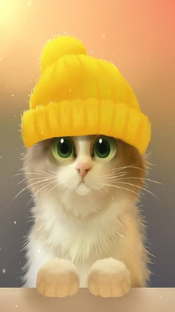Cat Wear Yellow Cap