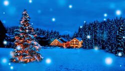 Christmas Decoration on Blue Night Pic