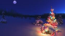 Christmas Tree Decoration at Night