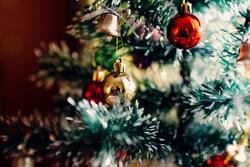 Christmas Tree Pic CloseUp