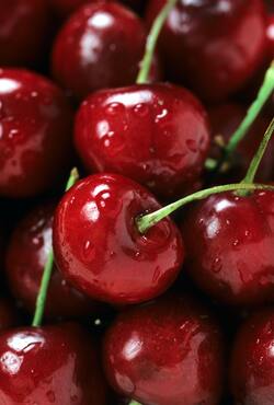 Closeup Look of Red Cherries