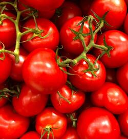 Closeup Look of Tomatoes
