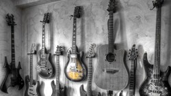 Collection Of Guitars