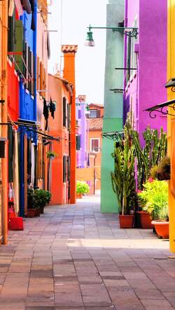 Colorful Streets