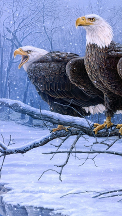 Couple Eagle in Winters Mobile Image