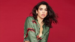 Crazy Look of Singer Dua Lipa