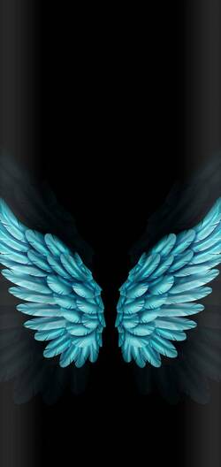 Creative Bird Feather Background