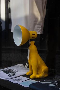Creative Dog Lamp Photo