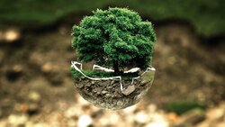Creative Environmental Tree Wallpaper